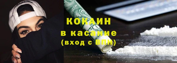 прущая мука Пересвет