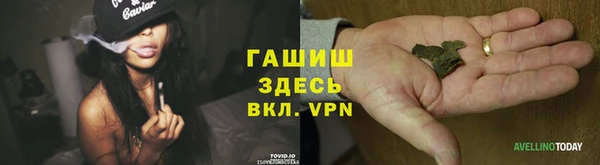 прущая мука Пересвет