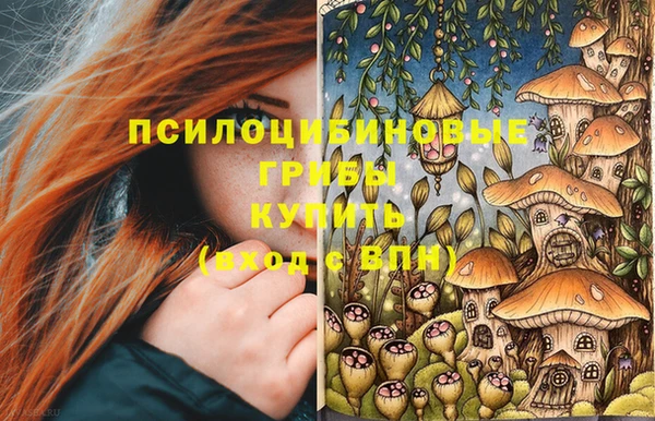 mdpv Пестово
