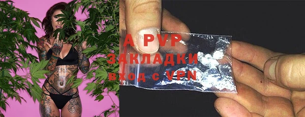 прущая мука Пересвет